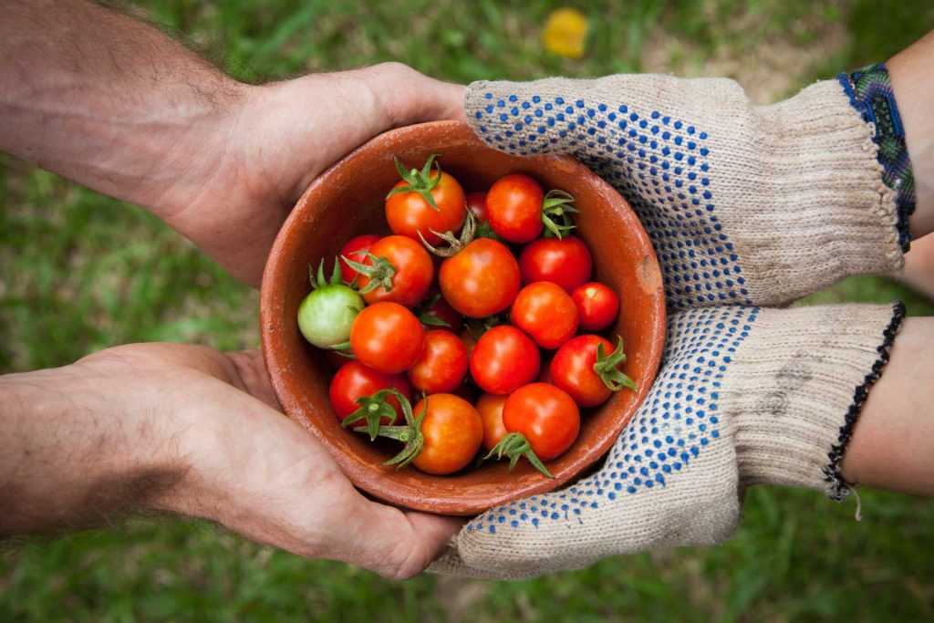 Helyi élelmiszer, fenntartható gazdaság