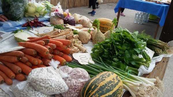 Nagytarcsai Termelői Piac - friss helyi zöldségek